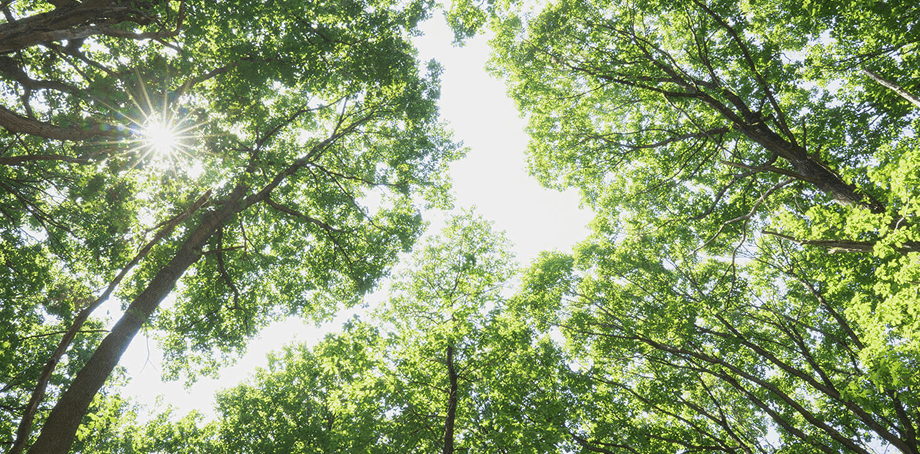 Eco-conscious manufacturing