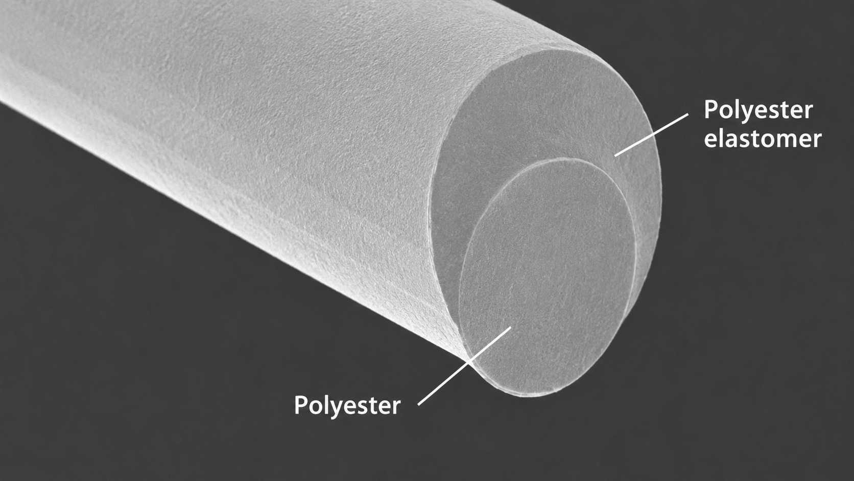 Elastomeric bi-component staple fiber