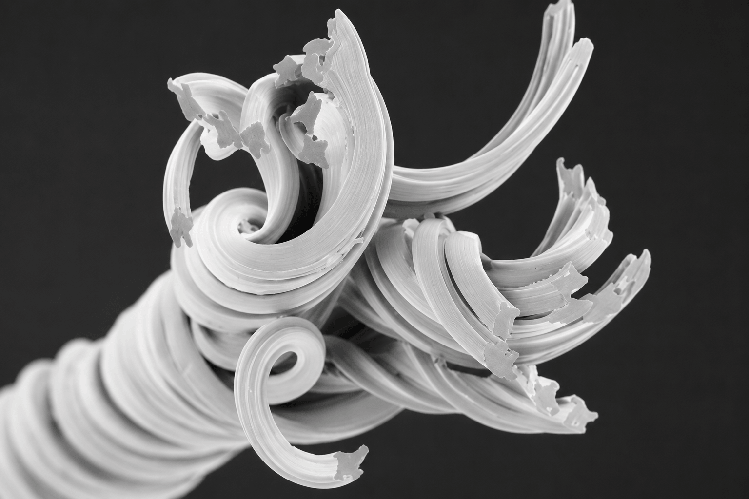 Random cross-section filament