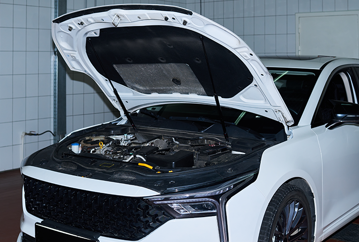 Car Hood