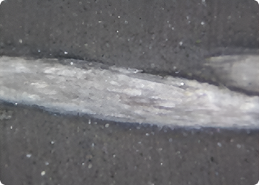 Teijin processing: fiber bundle with uniform resin impregnation