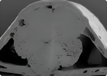 Teijin processing: cord cross-section with suppressed fiber separation
