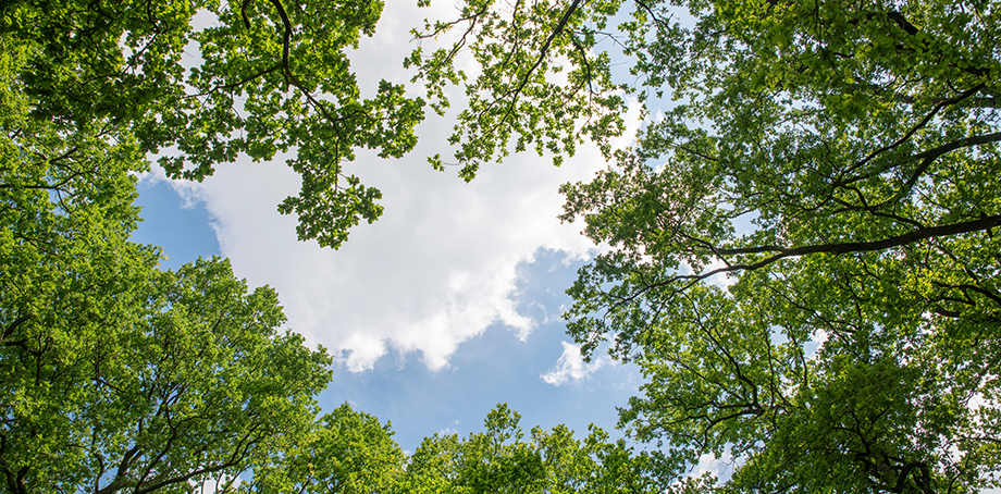 Eco-Conscious Manufacturing & Sustainability